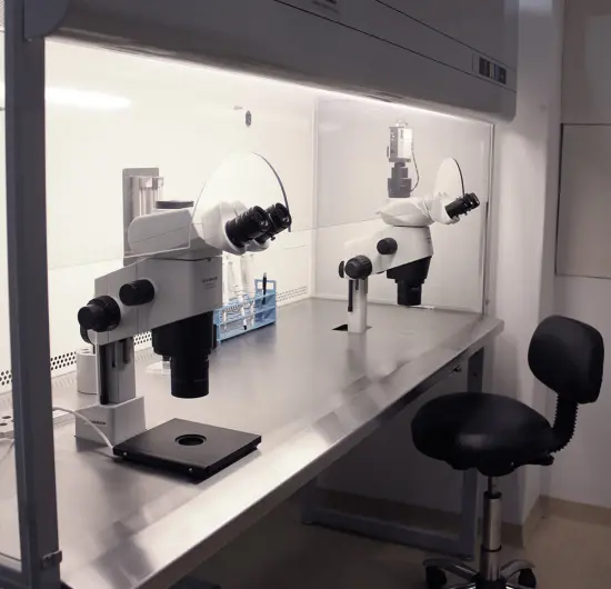 Fertility Consultation & Counselling