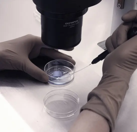 Fertility Diagnostic Services